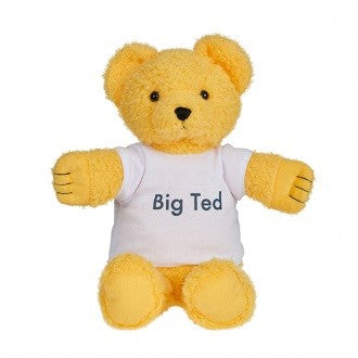 Play School Big Ted Plush 28cm
